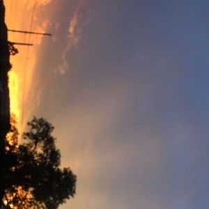 Meet your Posher, Lexus